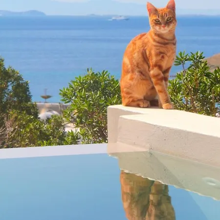 With View Of Agios Ioannis And Pool With Jacuzzi *